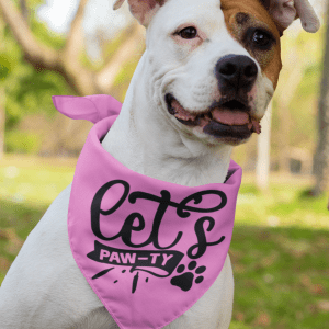 Bandană Let's Paw-ty