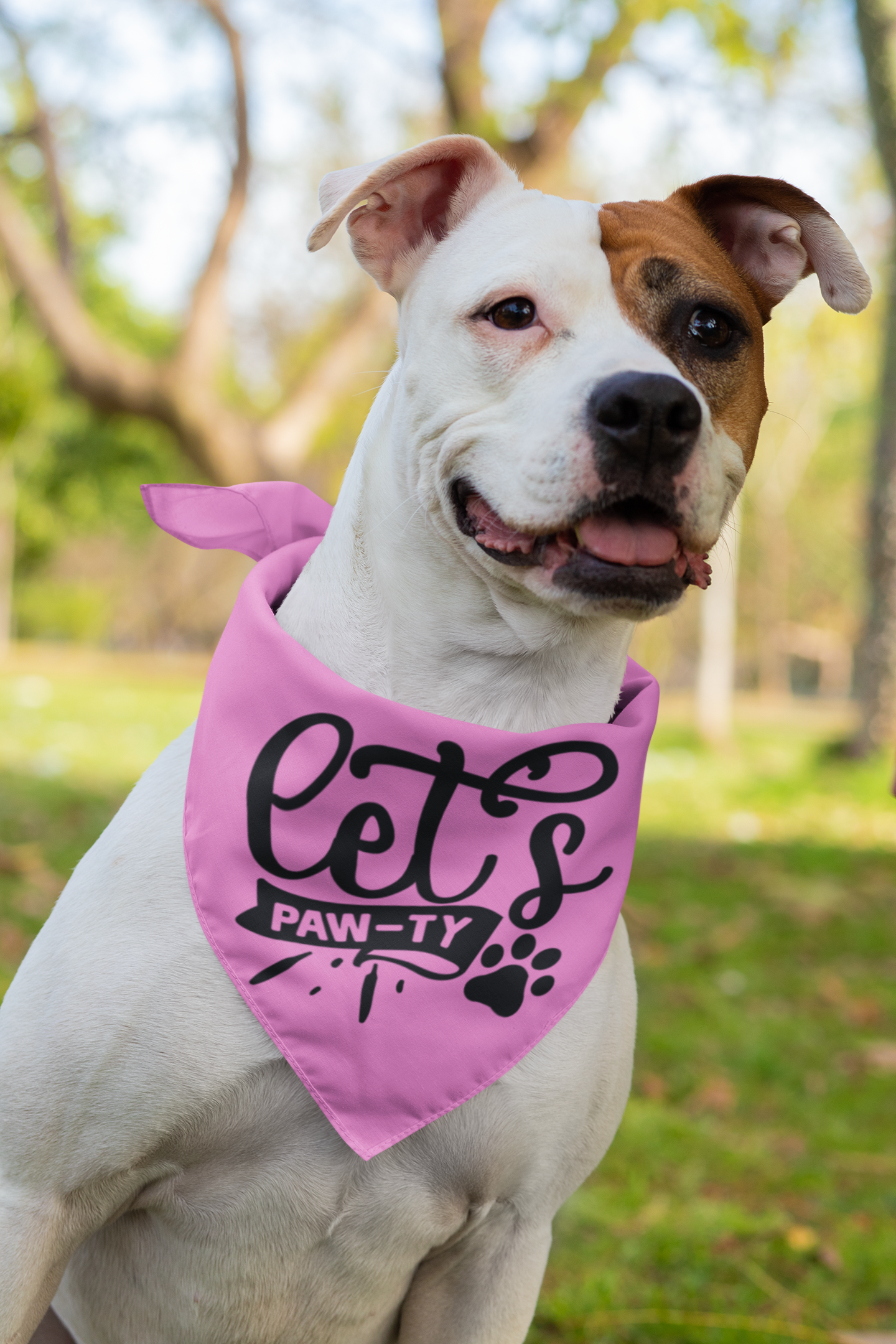 Bandană Let's Paw-ty