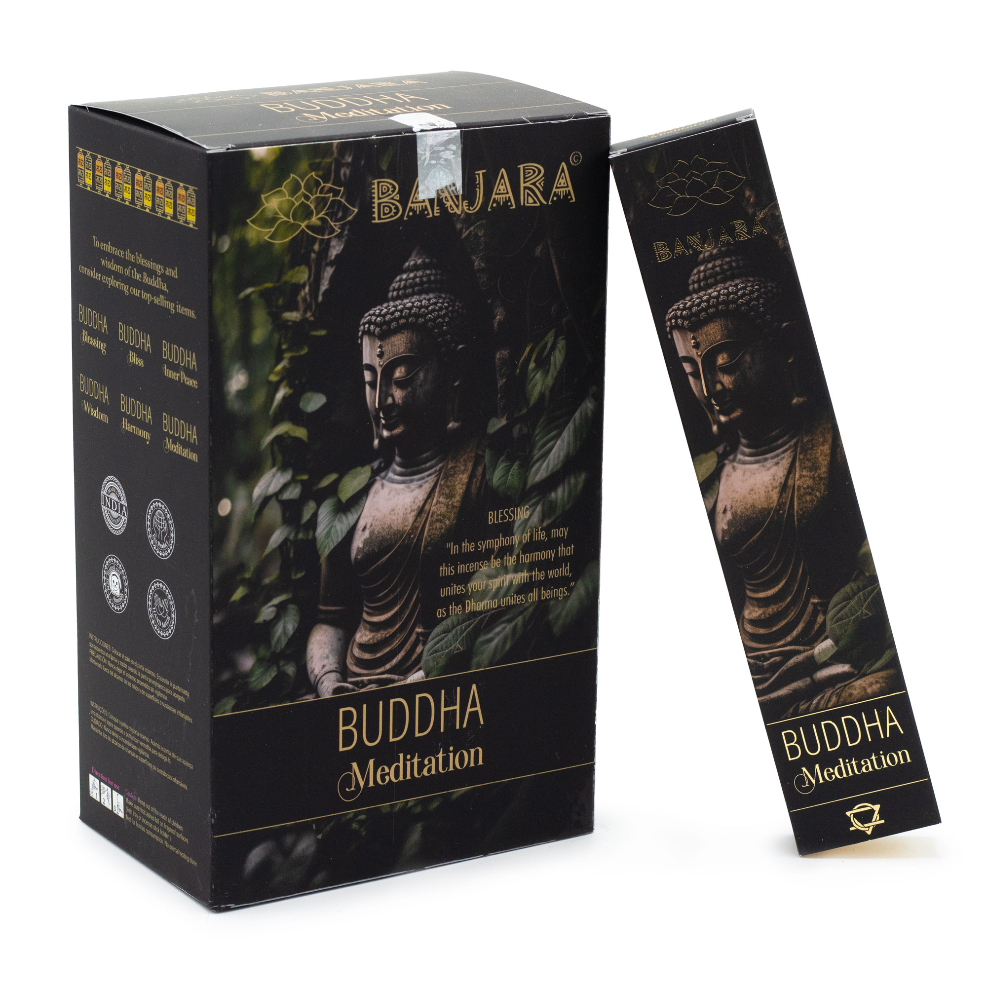 Banjara Buddha - Meditație
